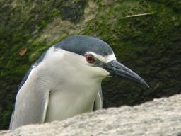 DSCN2235.jpg