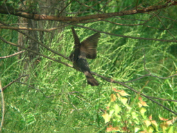DSCN3215.jpg