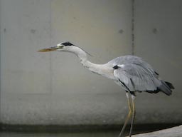 DSCN3568.jpg