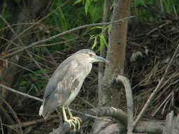 DSCN3639.jpg