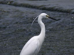 DSCN3700.jpg