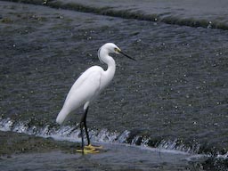 DSCN3704.jpg