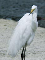 DSCN3717.jpg
