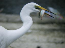 DSCN3731.jpg