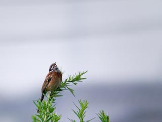 DSCN3820.jpg