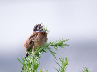 DSCN3840.jpg