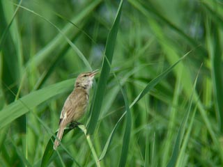 DSCN3850.jpg
