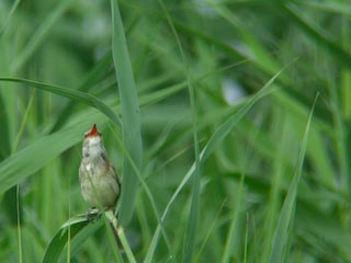 DSCN3891.jpg