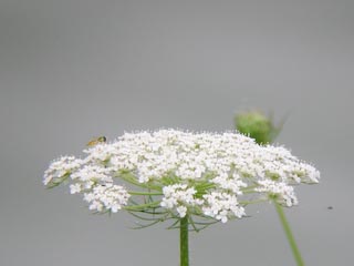 DSCN3895.jpg