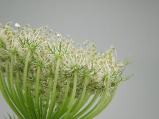 DSCN3897.jpg