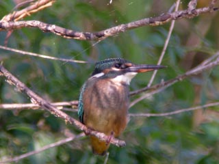 DSCN4369.jpg
