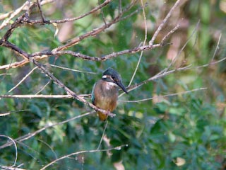 DSCN4370.jpg