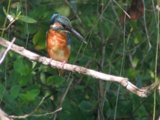 DSCN4450.jpg