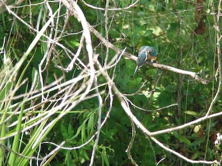 DSCN4171.jpg