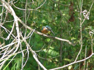 DSCN4560.jpg