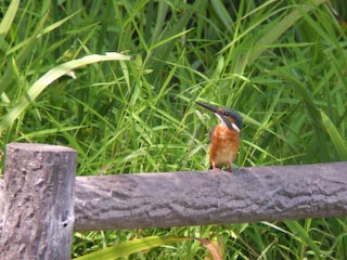 DSCN4589.jpg