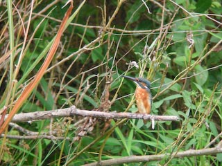 DSCN4639.jpg