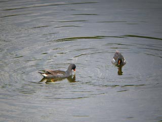 DSCN4676.jpg