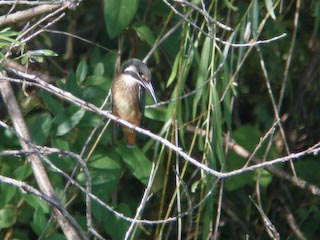 DSCN4747.jpg