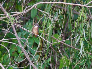 DSCN4753.jpg