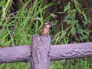 DSCN4784.jpg