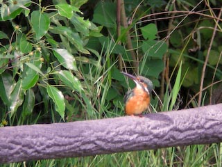 DSCN4797.jpg