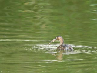 DSCN4799.jpg