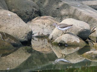 DSCN4805.jpg