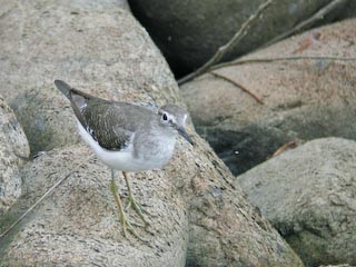 DSCN4859.jpg