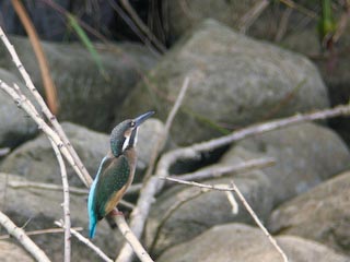 DSCN4898.jpg