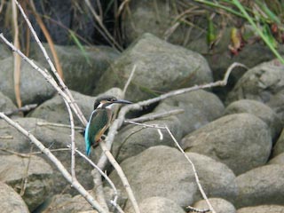 DSCN4903.jpg