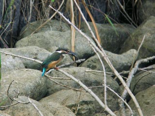DSCN4921.jpg