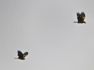 DSCN5021.jpg