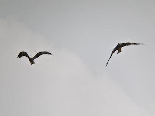 DSCN5022.jpg