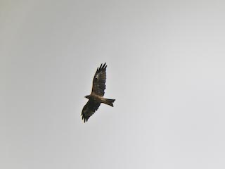 DSCN5025.jpg