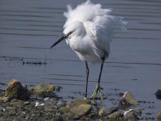 IMG_0485.jpg