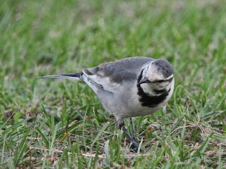 IMG_0639.jpg