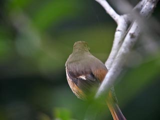 IMG_0740.jpg