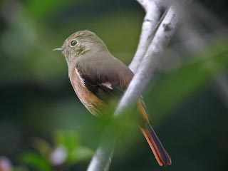 IMG_0747.jpg