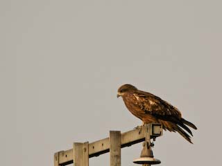 IMG_0011.jpg