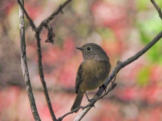 IMG_0136.jpg