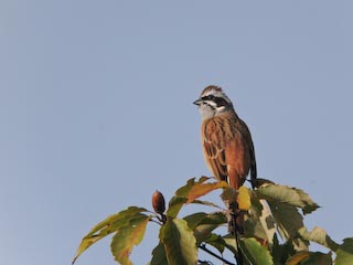IMG_0220.jpg