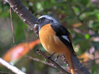 IMG_0451.jpg