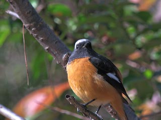IMG_0463.jpg
