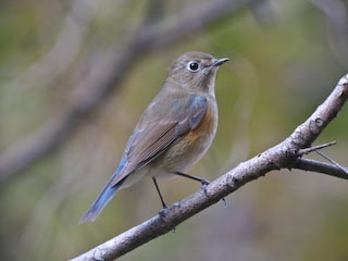 IMG_0535.jpg