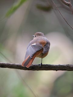 IMG_0587.jpg