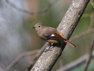 IMG_1154.jpg
