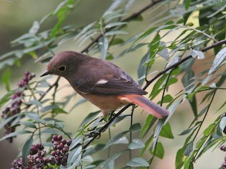 IMG_1178.jpg