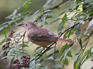 IMG_1181.jpg