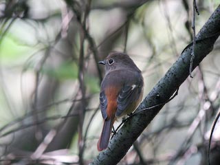 IMG_1211.jpg